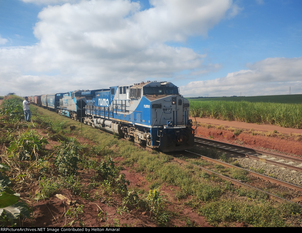 RUMO 9877